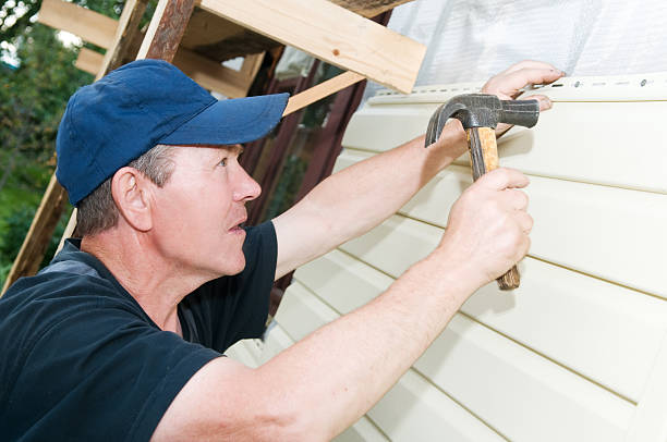Best Siding Painting and Refinishing  in Virginia, MN