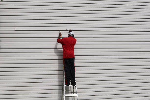 Best Siding for New Construction  in Virginia, MN